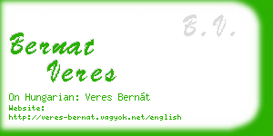 bernat veres business card
